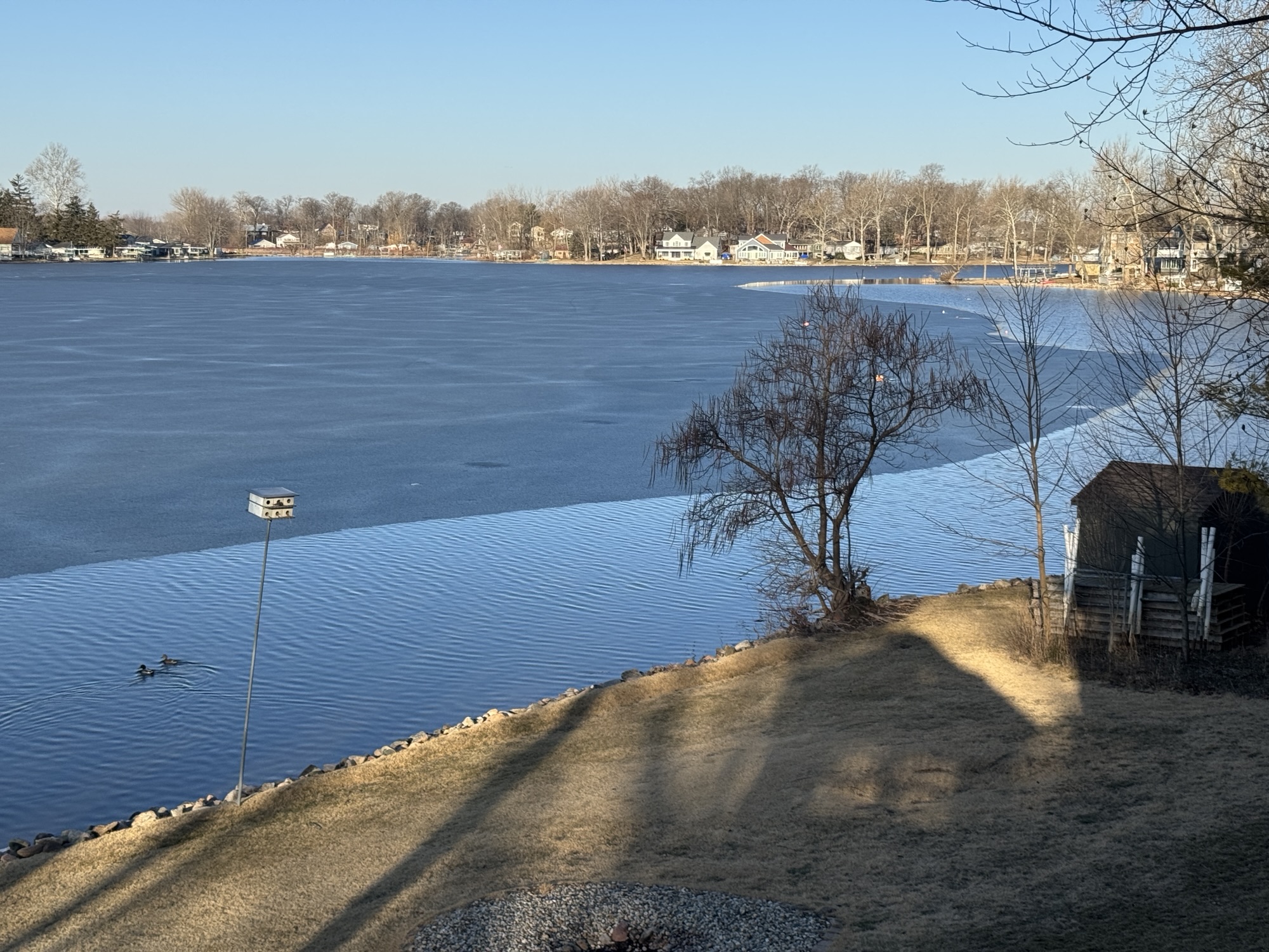 The shoreline of a partially frozen lake. Ice begins about 40 feet off shore.